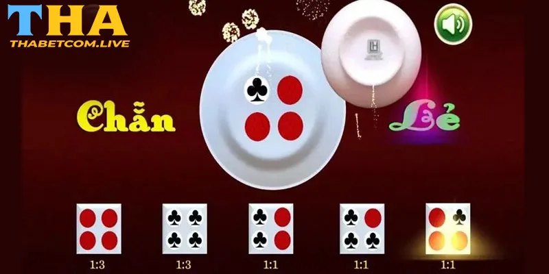 Hướng dẫn cách chơi xóc đĩa cho newbie tại BK8