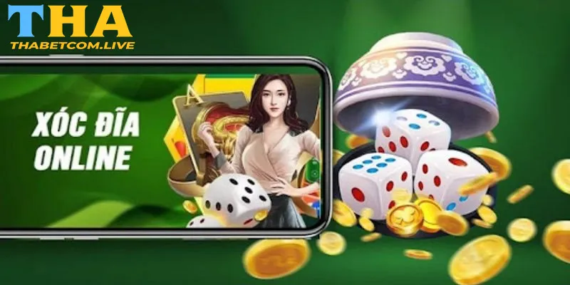 Tổng quan chung về xóc đĩa